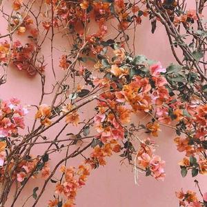 疯狂揉捏奶头视频
